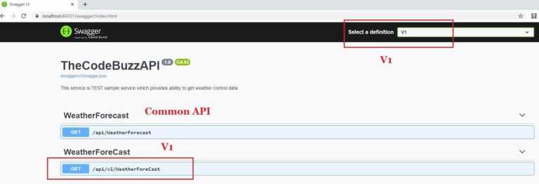 Add OpenAPI Swagger API Versioning – Guidelines - TheCodeBuzz