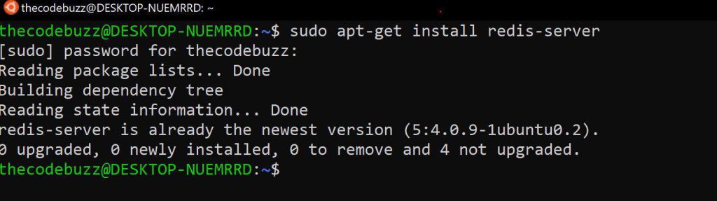 sudo apt-get install redis-server