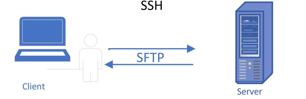 bash-search-for-text-in-files-recursively-mainest